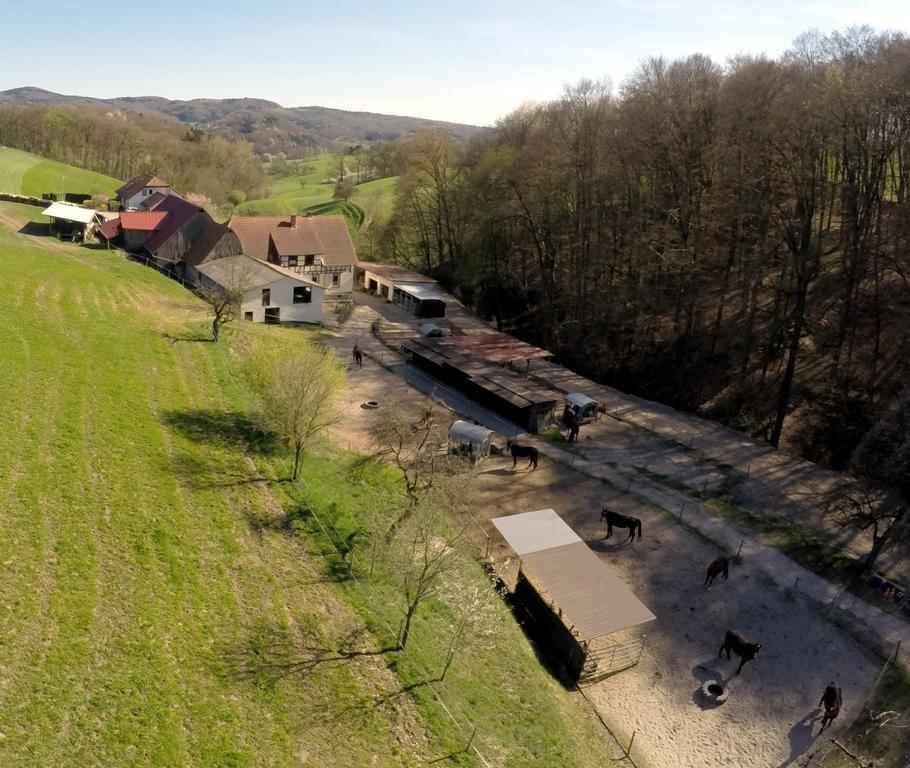 Pferdehof Und Wanderreitstation Doersam Villa Mörlenbach Екстериор снимка