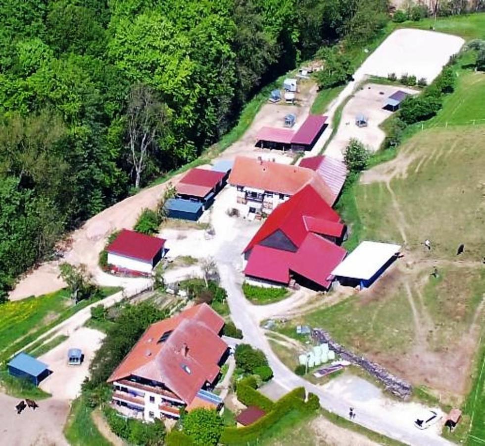 Pferdehof Und Wanderreitstation Doersam Villa Mörlenbach Екстериор снимка